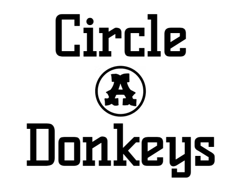 Circle A Donkey Ball Logo